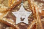 pet memorial wooden bauble styled with Christmas tree branches