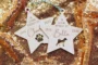 pet memorial Christmas bauble lying flat on a white background