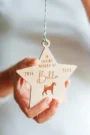Pet Memorial Bauble