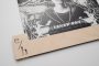 Premium LP Record Dividers keeping vinyl records aligned and organised