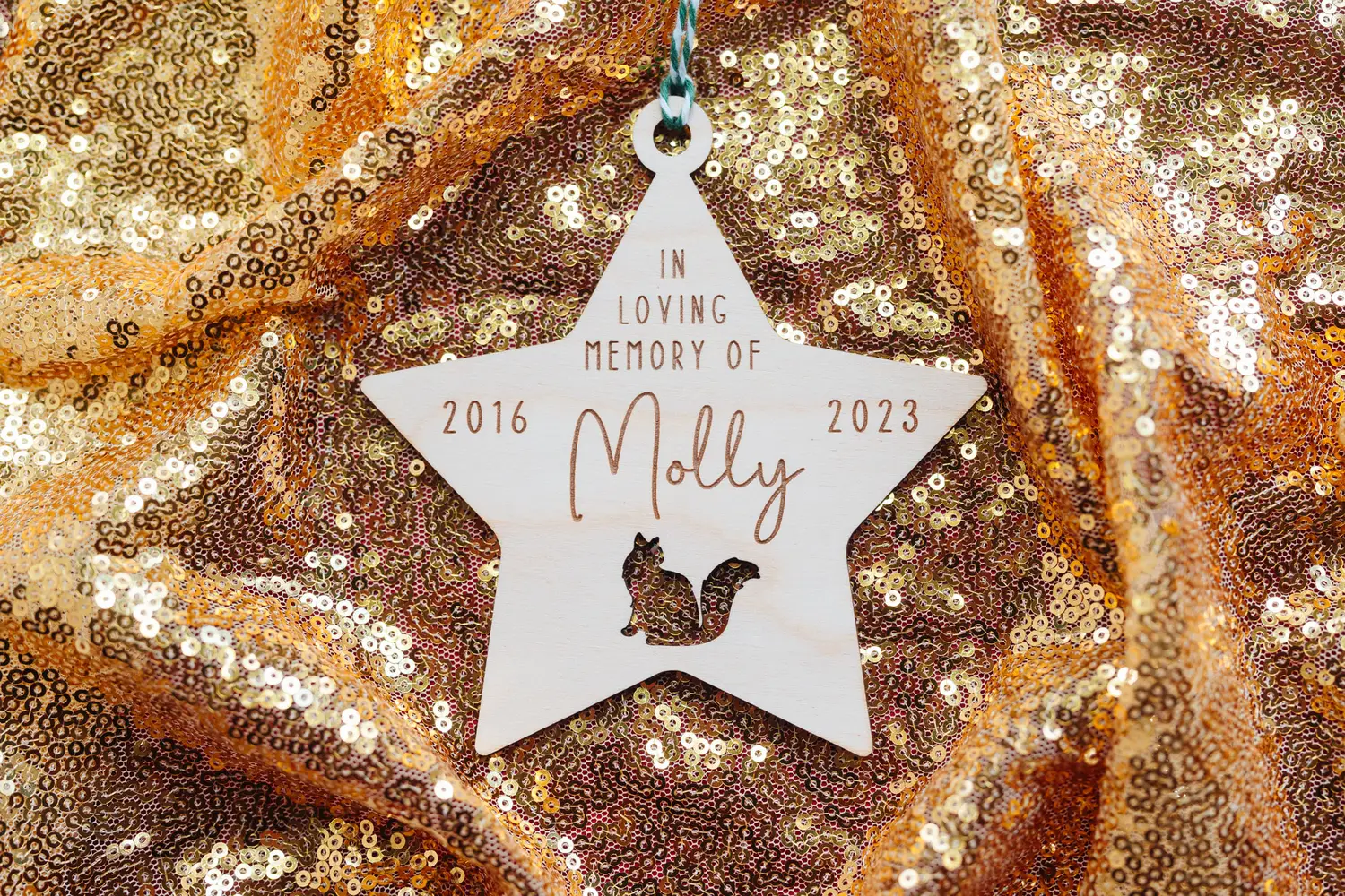 A0307859.webp pet memorial wooden bauble styled with Christmas tree branches