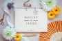 Contemporary Minimal Wedding Guest Book open showing the lined interior pages